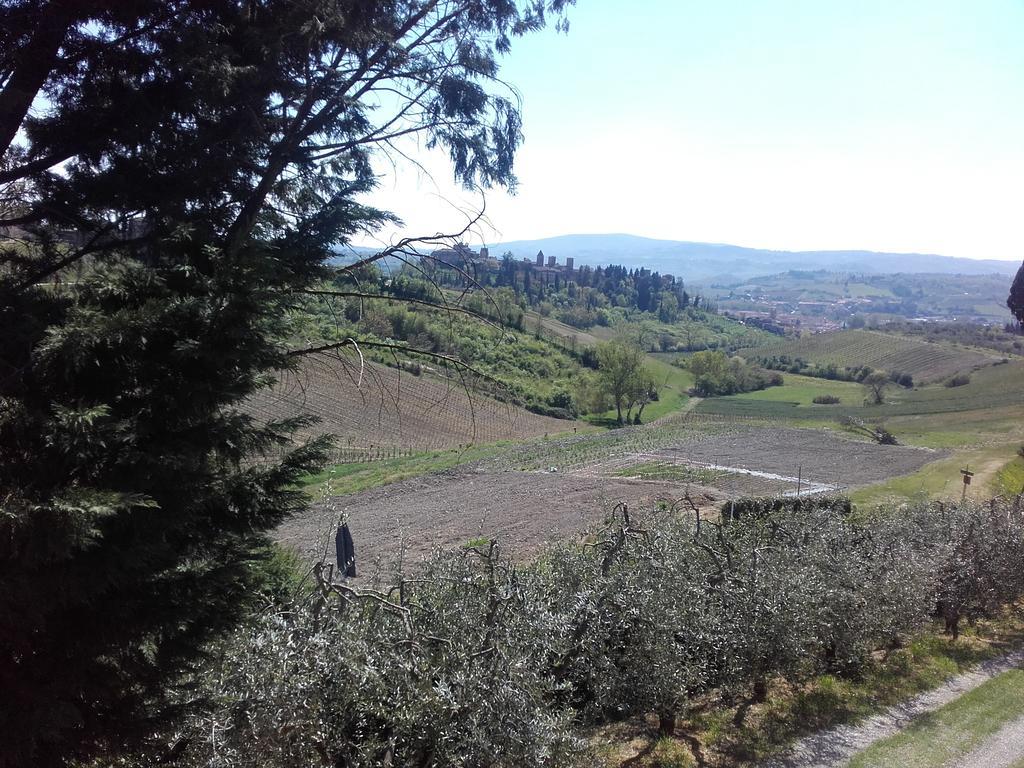 Agriturismo Il Torrione Villa Certaldo Exterior foto